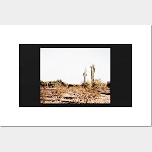 Cacti, Desert, Landscape, Sky, Nature print Posters and Art